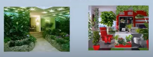 [Prodecoring] Фитодизайн в интерьере (2024)_0.png